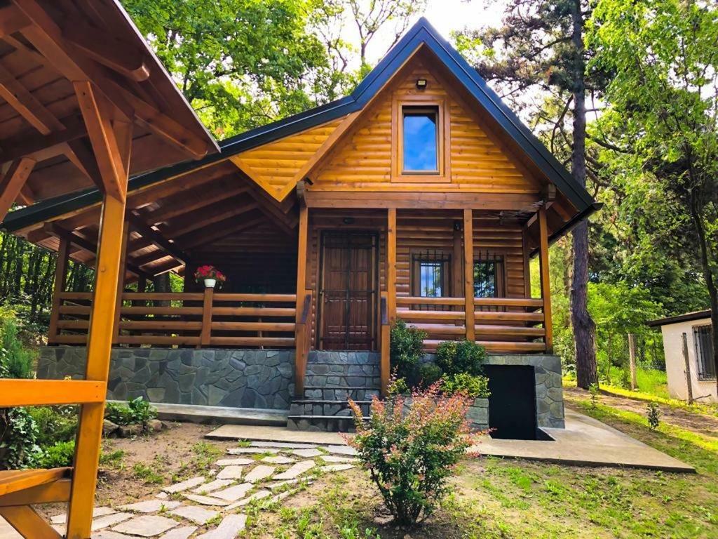 Brvnara Vrsac Vila Exterior foto